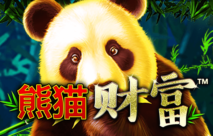 24名中国游客在加拿大因交通事故受伤