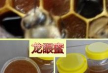 龙眼蜜以及龙眼蜂蜜的作用