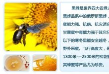 黑蜂蜂蜜和普通蜂蜜有什么